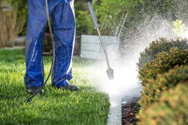 Cost of Curb Cleaning in Shawnee