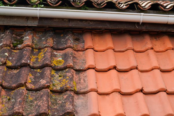 Industrial Roof Cleaning in Shawnee